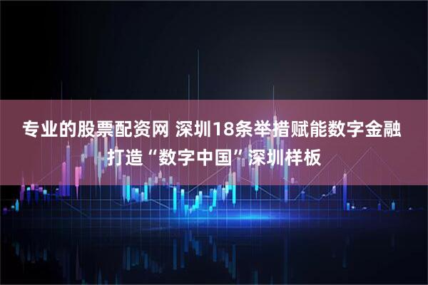 专业的股票配资网 深圳18条举措赋能数字金融 打造“数字中国”深圳样板