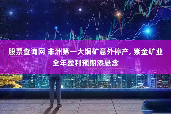 股票查询网 非洲第一大铜矿意外停产, 紫金矿业全年盈利预期添悬念