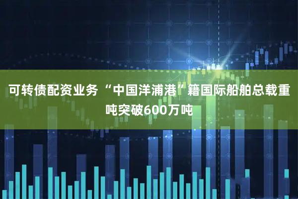 可转债配资业务 “中国洋浦港”籍国际船舶总载重吨突破600万吨